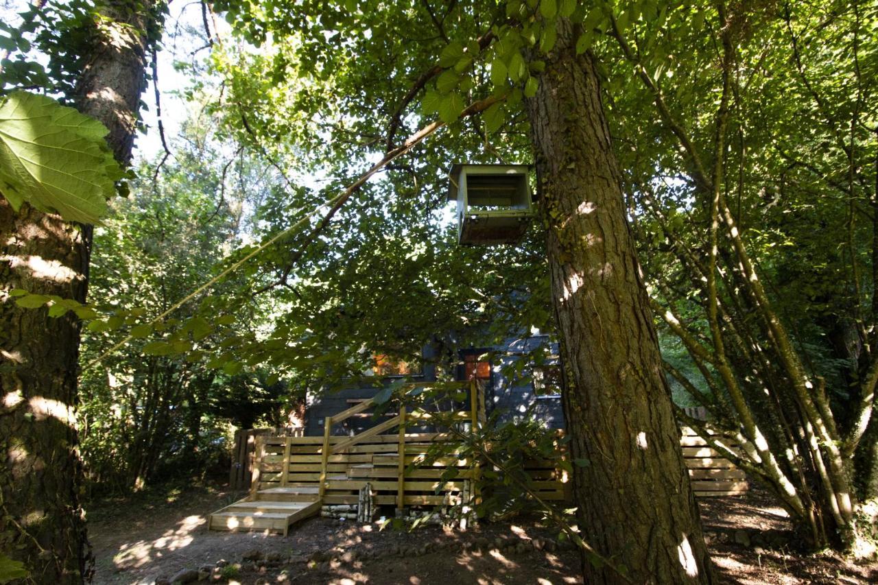 L'abri Des Reves Chalet *